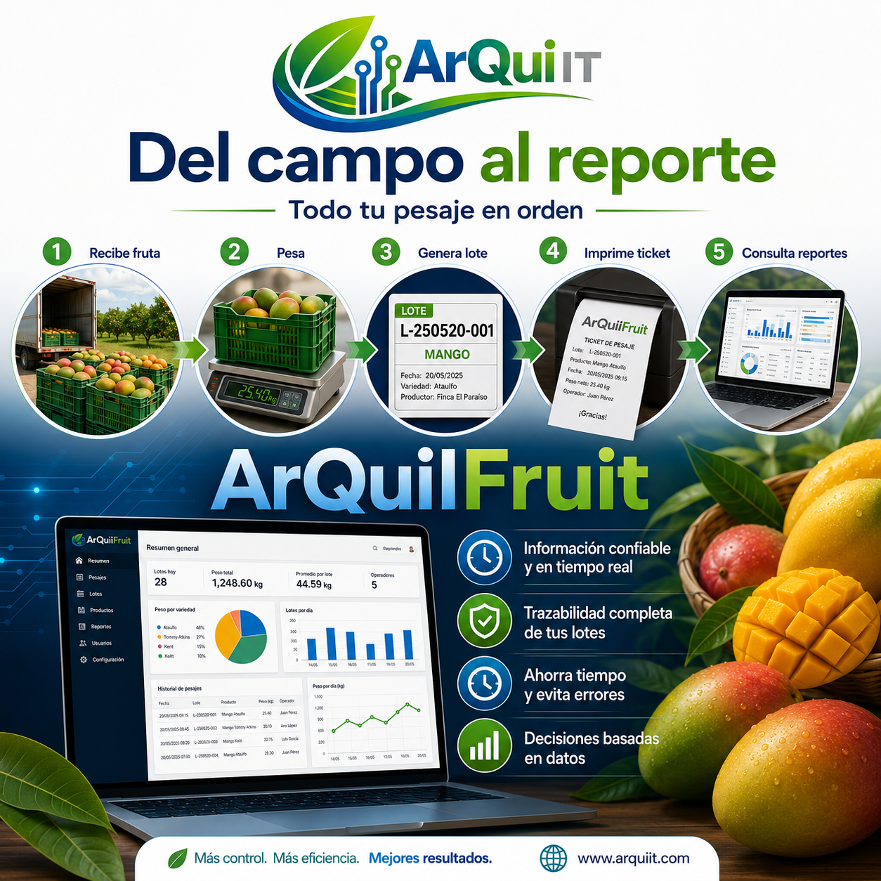 Proceso de ArQuiITFruit desde reciba hasta reportes